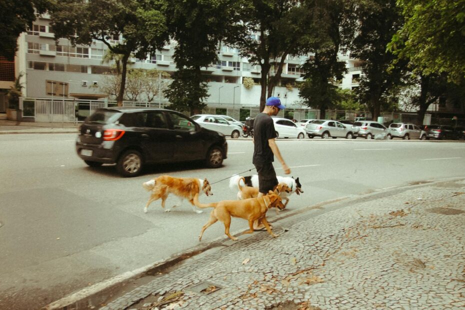 A man walks several dogs on a city street in Rio de Janeiro, Brazil, showcasing urban life.